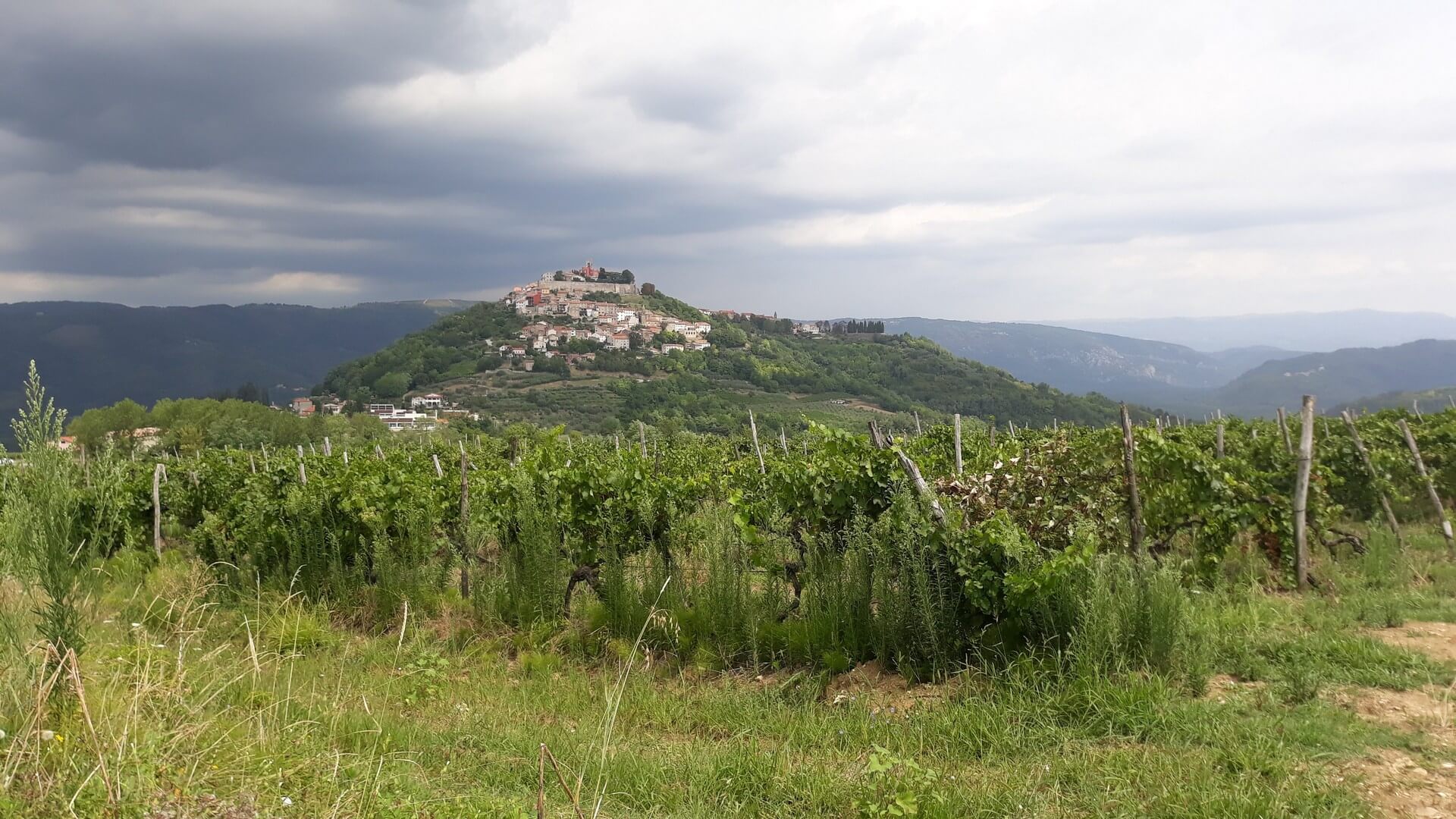 motovun 2019 05