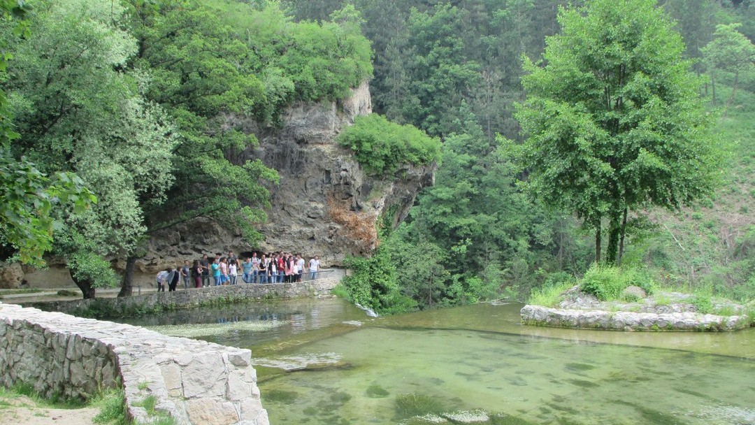 studijski posjet jajce